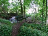  Steg ber den Blindbach 