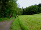  Wanderweg entlang des Blindbachs 