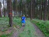  Wanderroute auf schnen Waldwegen 