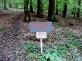  Info fr Streckenteilung 12/20 km 