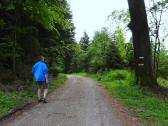 Wanderroute ber eine Forststrae 