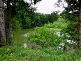  Blick zum  Grblerteich 