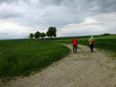  Blick auf die Wanderroute nach Blindenmarkt 