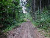  Wanderroute auf schnen Forstwegen 