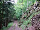  Wanderroute auf schnen Forstwegen 