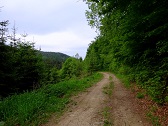  Wanderroute auf schnen Forstwegen im Kremstal 