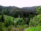 schner Blick ins Kremstal 