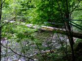  Blick zum Rotmpelsteg 