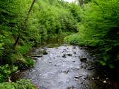  Blick vom Steg flussaufwrts 