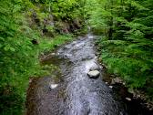  Blick vom Steg flussabwrts 