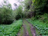  schne Wanderwege im Kremstal 
