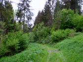  schne Wanderwege im Kremstal 