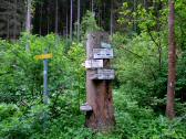  der "Info - Tafel" Baum fr die Wanderer 