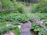  Blick auf den Gillauser Bach vom Steg 