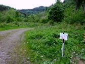  Blick Richtung Groe Krems - lange Wanderstrecke 