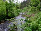  Impression der Groen Krems 