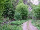  Wanderweg entlang der Groen Krems 