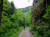  Wanderweg entlang der Kleinen Krems 