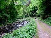  Wanderweg entlang der Kleinen Krems 