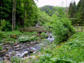  Blick zum Steg bei der Gudenushhle 