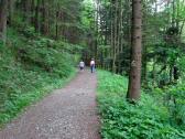  Wanderweg entlang der Kleinen Krems 