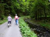  Wanderweg entlang der Kleinen Krems 