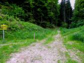  Blick auf die Wanderstrecke nach Els 