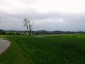  schner Fernblick 