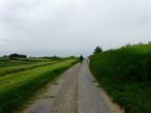 Blick auf die Wanderstrecke durch die Riede Galgenfeld