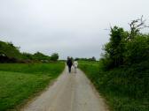 Blick auf die Wanderstrecke durch die Riede Galgenfeld