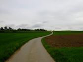 Blick auf die Wanderstrecke durch die Riede Hirncker