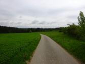 Blick auf die Wanderstrecke durch die Riede Hirncker
