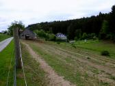  schottische Hochlandrinder in Gillaus 
