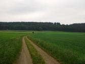  Blick auf dieWanderstrecke 