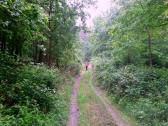  schner Wanderweg auf dem Molder Berg 