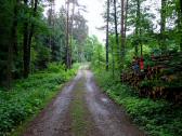  schner Wanderweg auf dem Molder Berg 