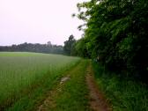  Blick auf die Wanderstrecke 