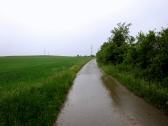  Blick auf die Wanderstrecke 