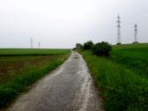  Blick auf die Wanderstrecke ber den Reutberg 