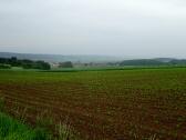  Fernblick nach Mold 
