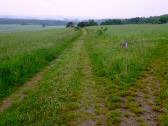  Blick auf die Wanderstrecke zur B4 