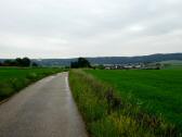  Blick auf die Wanderstrecke nach Mold 