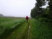  Blick auf die Wanderstrecke 
