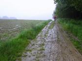  Blick auf die Wanderstrecke der Boden wird tiefer 