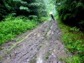  solch ein Wanderweg - mu das sein ? 