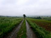  Wanderroute nach Unterwolfsbach 