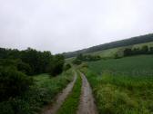  Wanderroute im Wolfsbachtal 