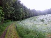  leicht bergan zur Hubertushtte 