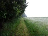  Blick auf den Wanderweg zur Hubertushtte 