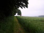 Blick auf den Wanderweg zur Hubertushtte 